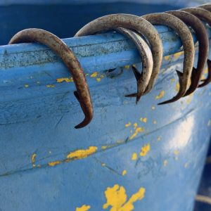 10 kg of Shark Meat kept off the hook