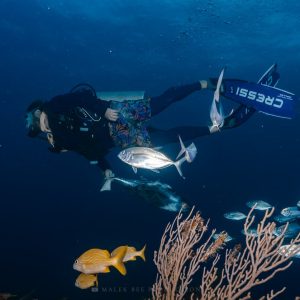 Albatros by Ocean Adventures