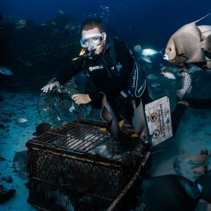 Support 1 day of Monitoring & Vigilance