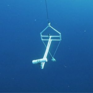 Help keep our BRUVs in Top Shape