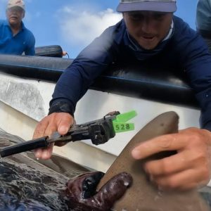 Help buy Tags & Equipment for Research