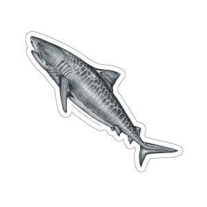 Tiger Shark Sticker