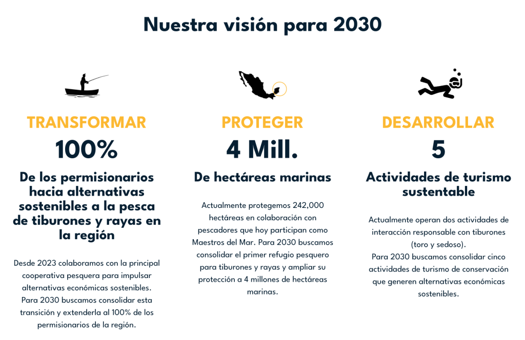 saving our sharks foundation