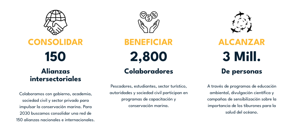 saving our sharks foundation