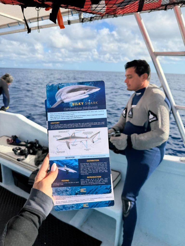 Shark Safari: How Nature-based tourism drives conservation