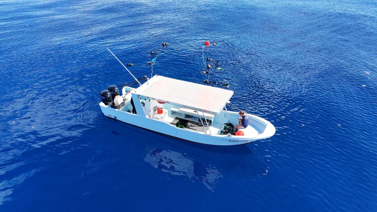 El turismo de naturaleza como herramienta para la conservación: el caso de Shark Safari